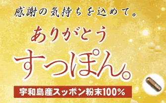 スッポンを普段から食べることができます